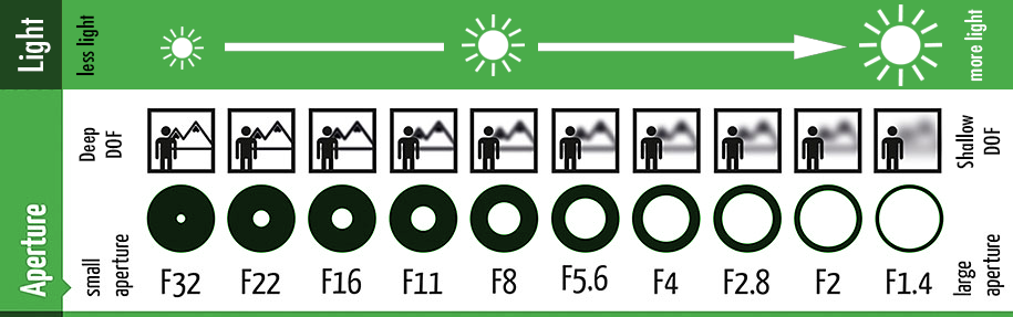 Guide to Using Telephoto Lenses: Master Stunning Long-Distance Shots