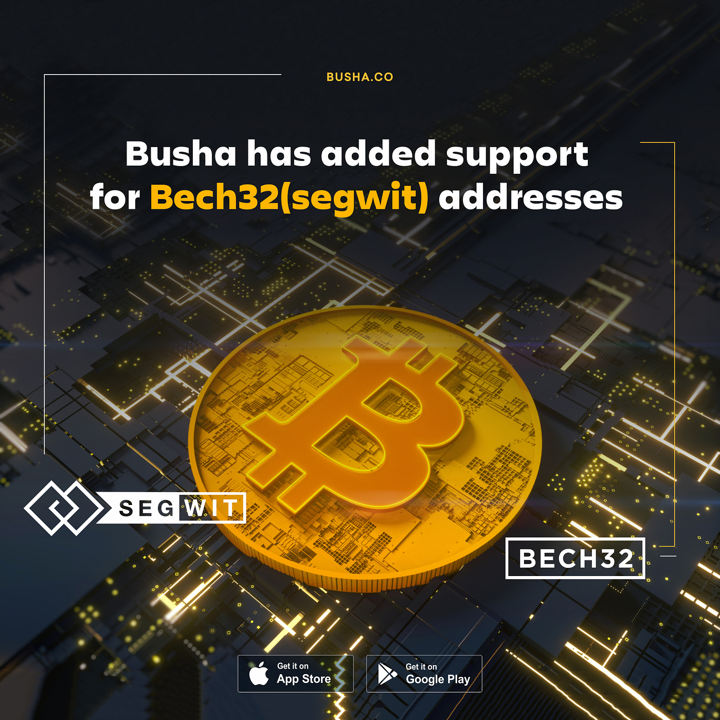 Busha Newsletter: 2nd June 2020. Dear Community, | by Iheakachi Nwabueze |  Busha | Medium