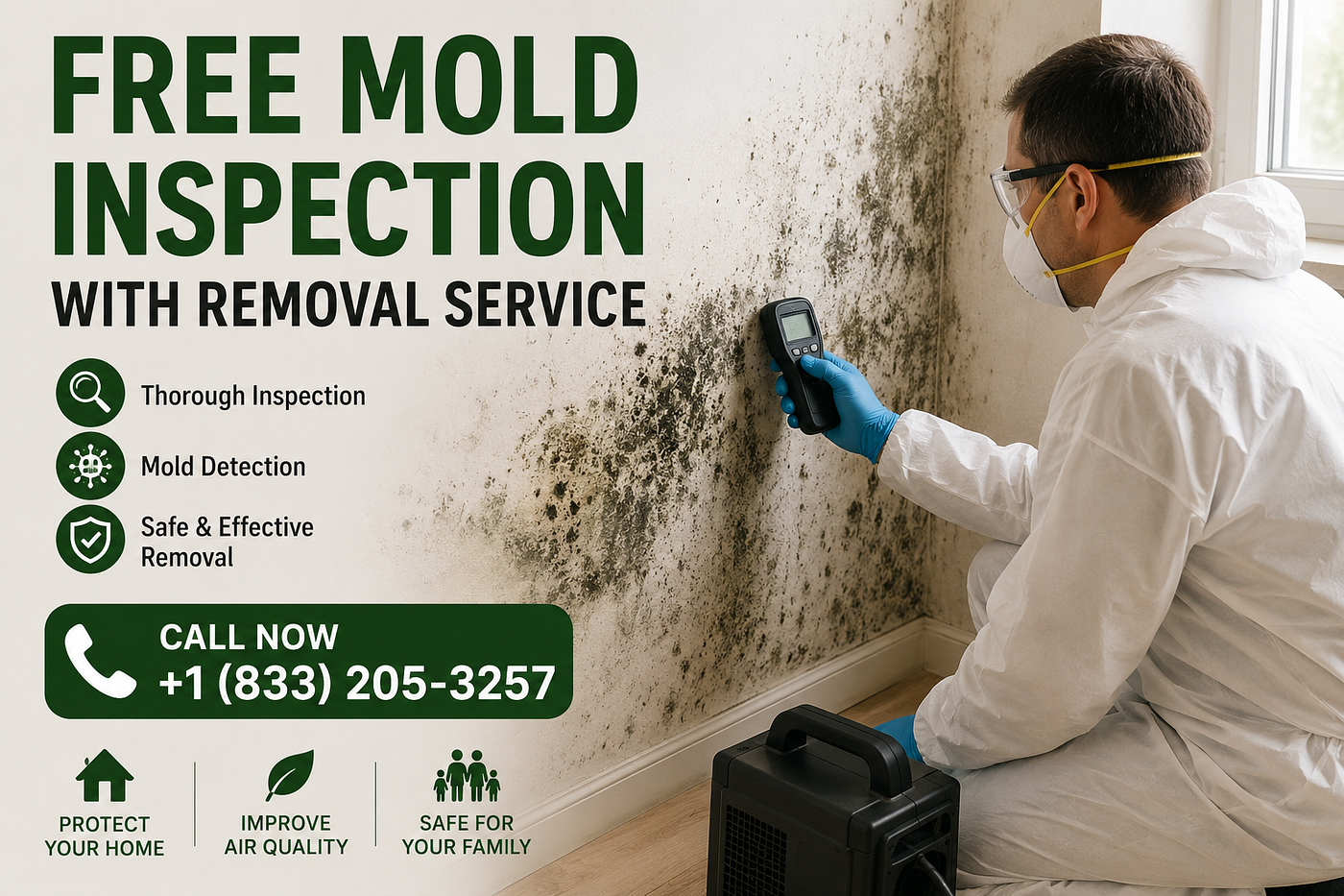 Free Mold Inspection with Removal Service
