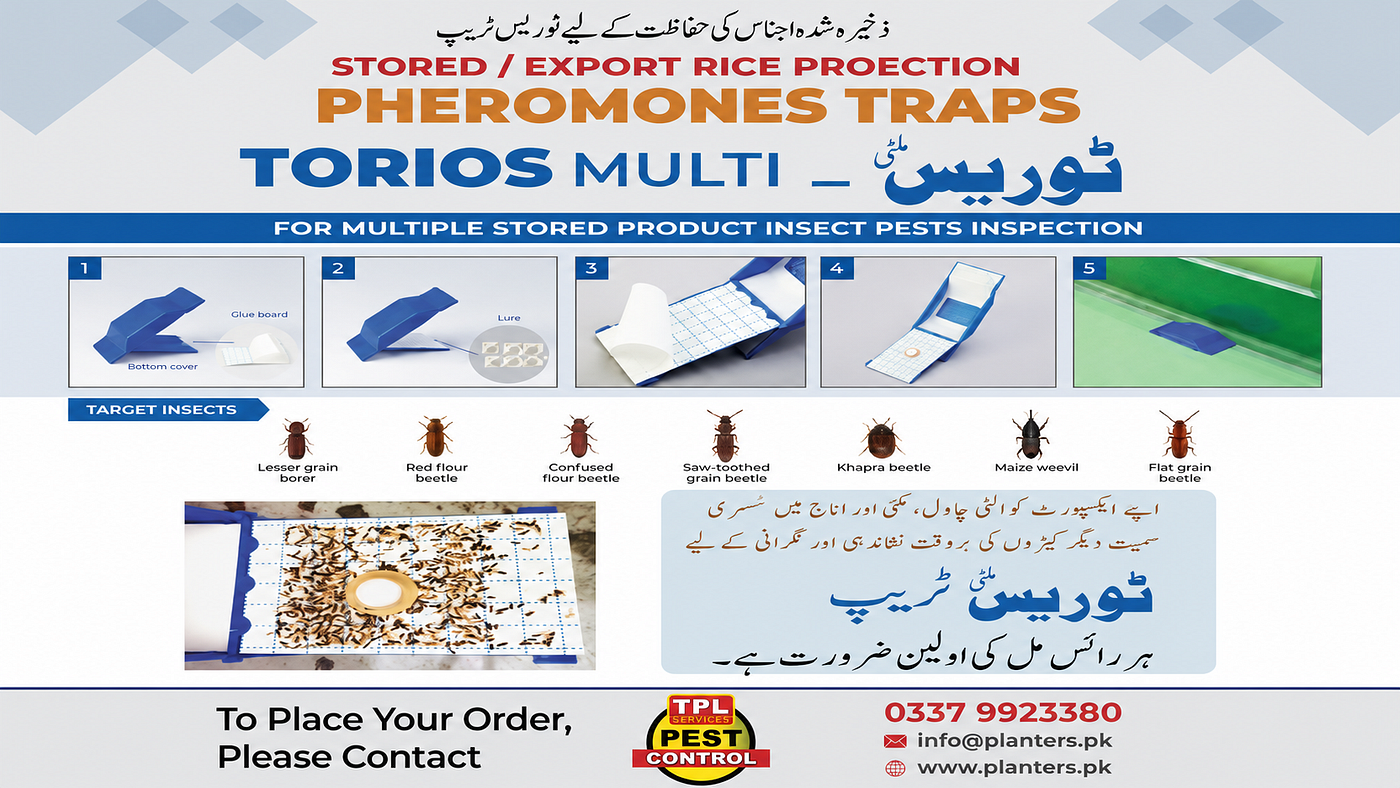 Torios Multi Pheromone Traps: A Smart Solution for Stored Grain Protection and Pest Management