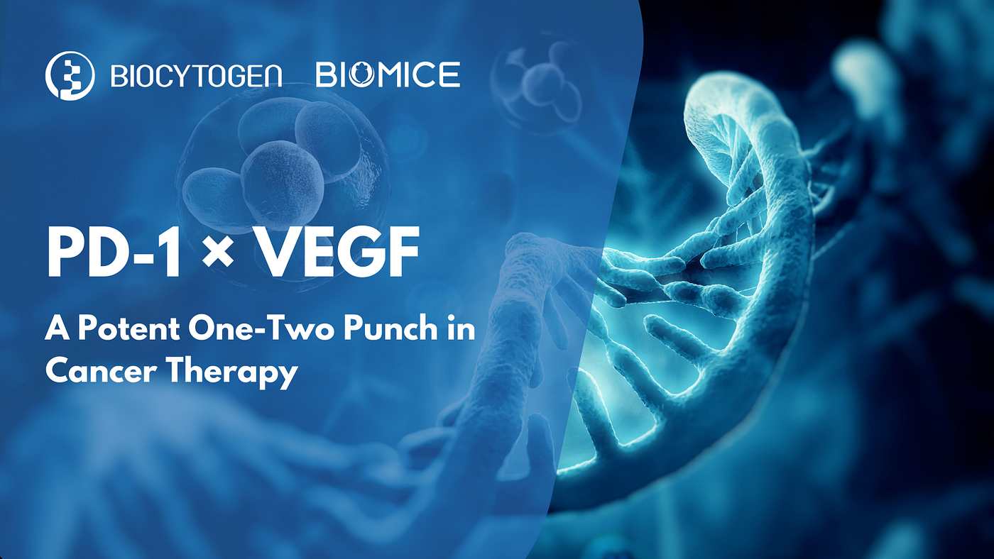 PD-1 × VEGF Dual Targeting: A Potent One-Two Punch in Cancer Therapy
