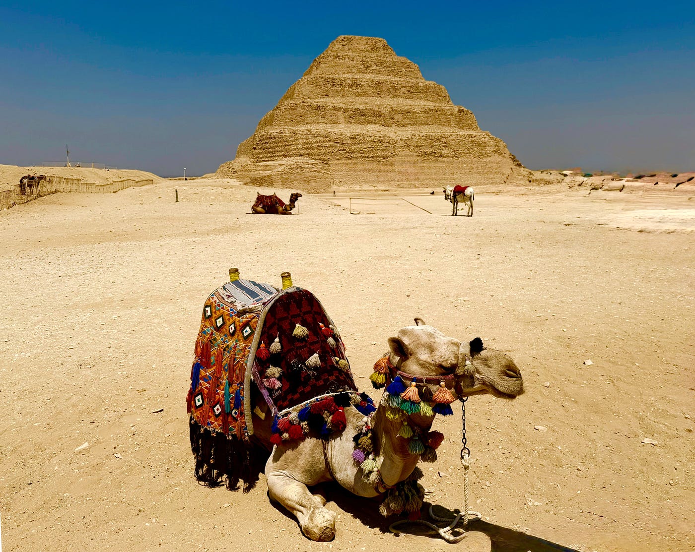 The step pyramid of Djoser at Saqqara. All photos © David A. Laws