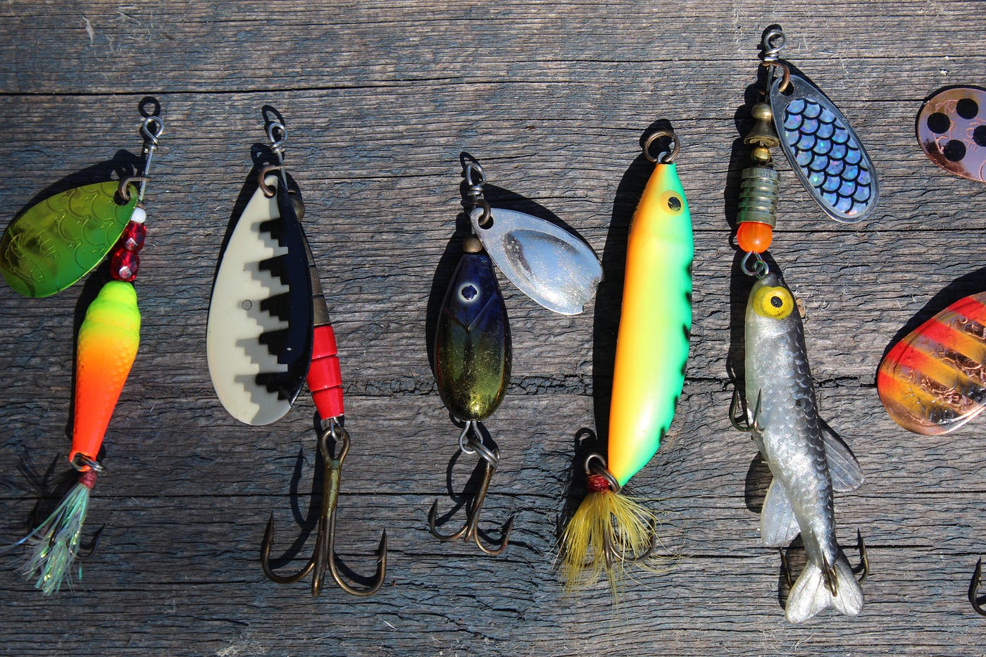 Fishing: Shop All Gear & Equipment