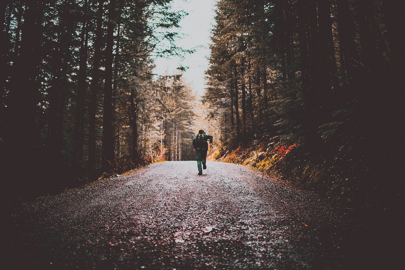 Nature Running Will Make You A More Resilient Runner — This Is Why | by  Rebecca Ramshaw | In Fitness And In Health | Medium