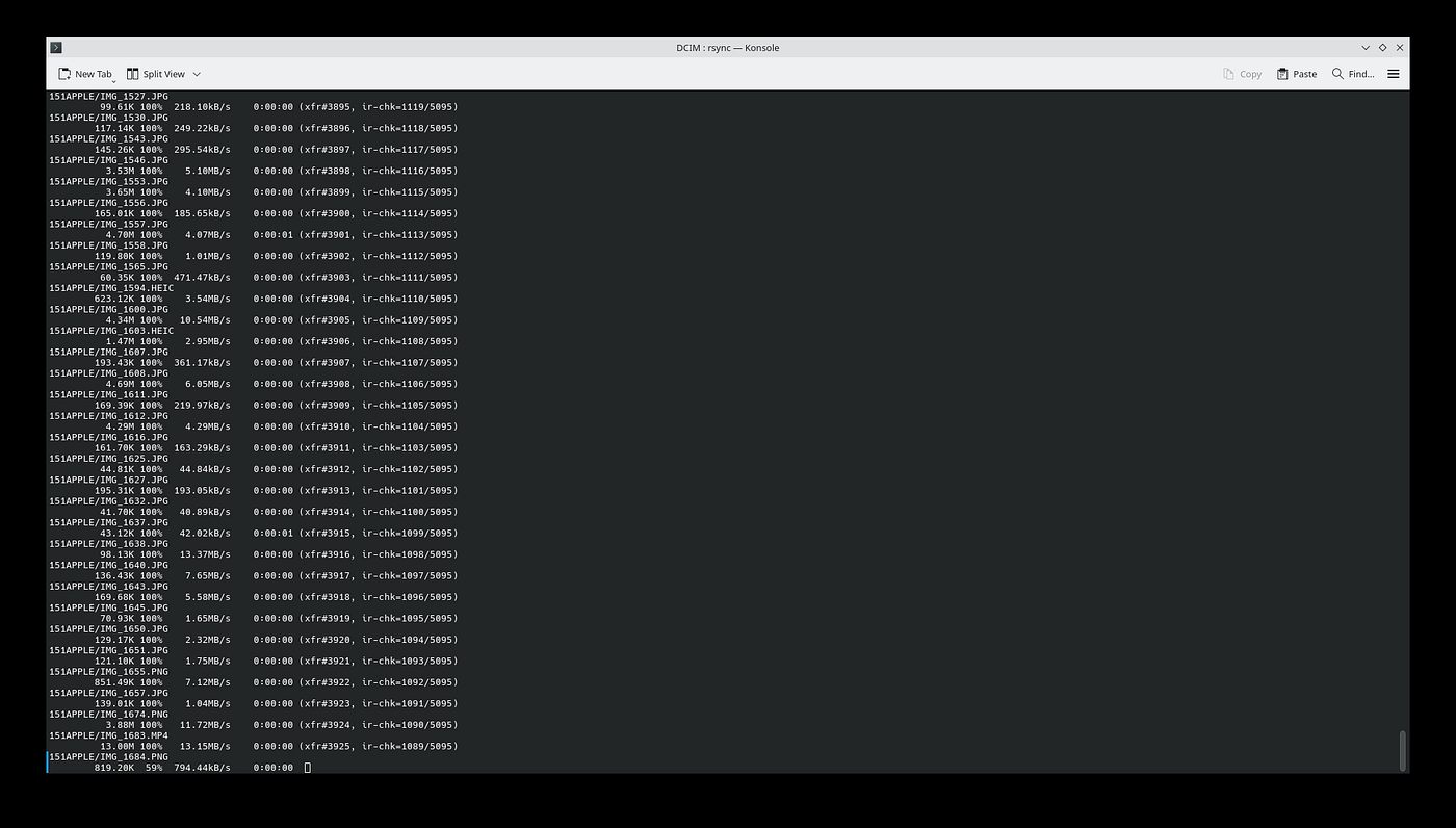 How I Backed Up My Girlfriend’s iPhone Photos on Debian Without Losing My Mind