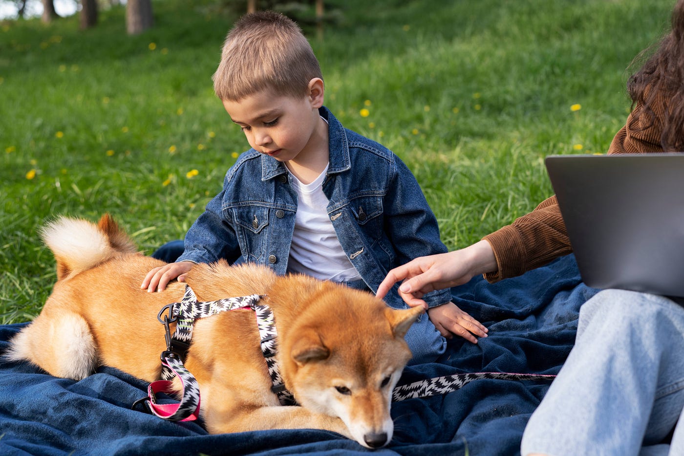What Is the Fastest Way to Potty Train a Puppy Safely?