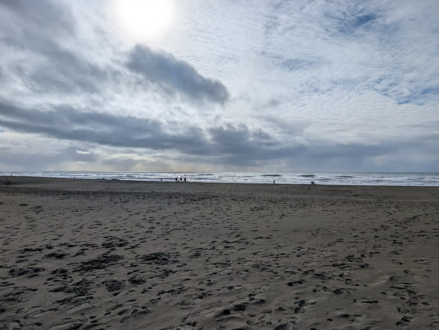 Ocean Beach photo by Scarlet Spitzer-Silverstone