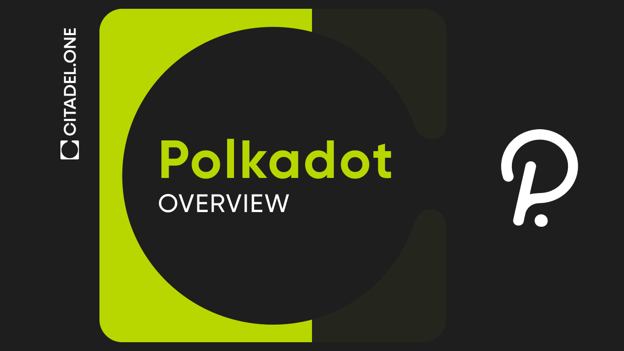 Polkadot Overview | 2024. Since Polkadot emerged in 2016, the… | by  Citadel.one | Medium