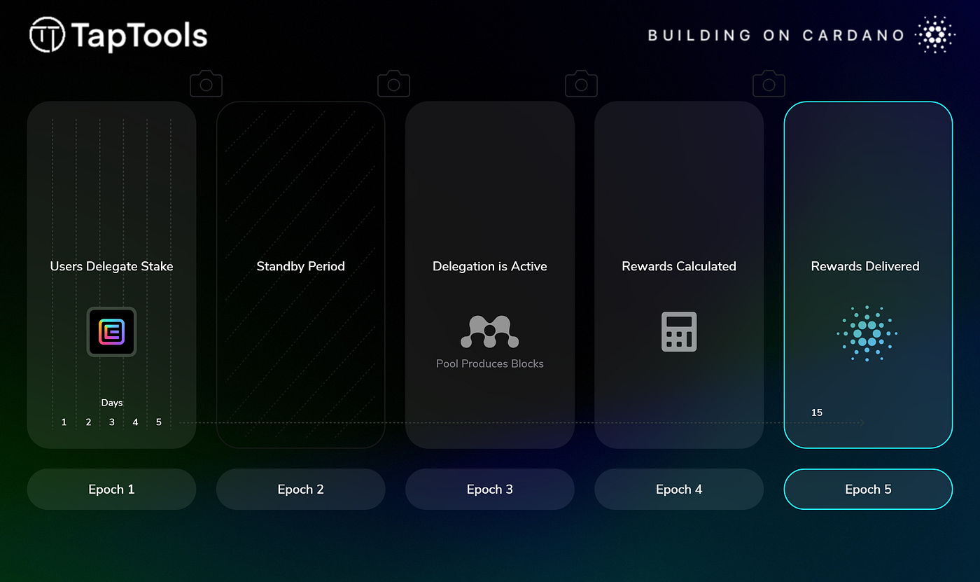 Cardano Staking: A Comprehensive Guide | by Tap In With TapTools | Tap In  With TapTools | Medium
