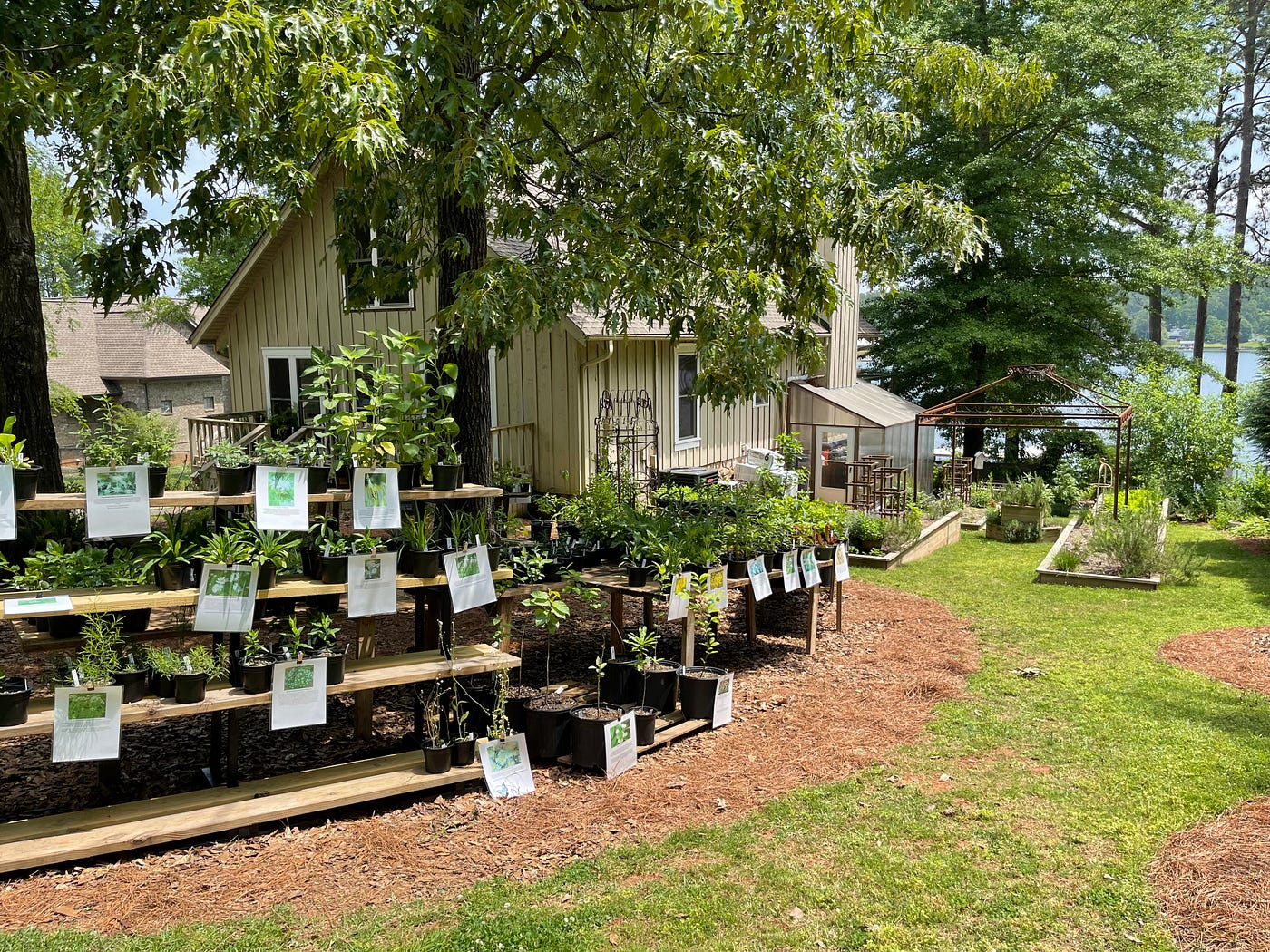 How I Learned to Plant Perennial Seeds | The DIY Diaries