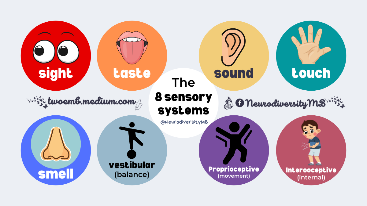 What Are The Sensory Systems Your Senses Explained And 60 Off What Are The Sensory Systems Your Senses Explained And 60 Off