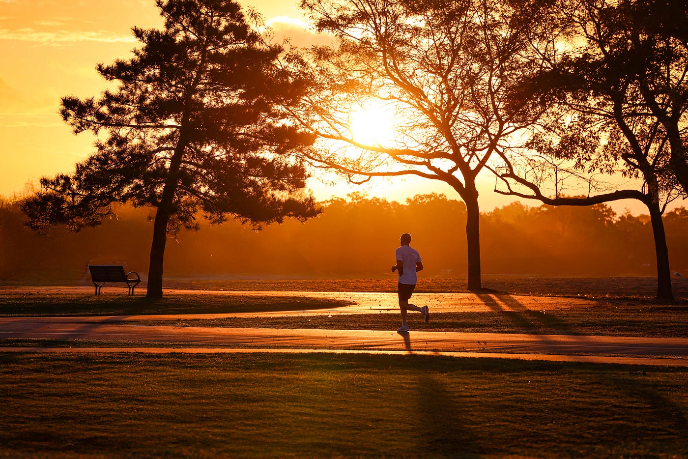 Photo by David Kanigan: https://www.pexels.com/photo/morning-jog-at-sunrise-in-stamford-park-28735804/