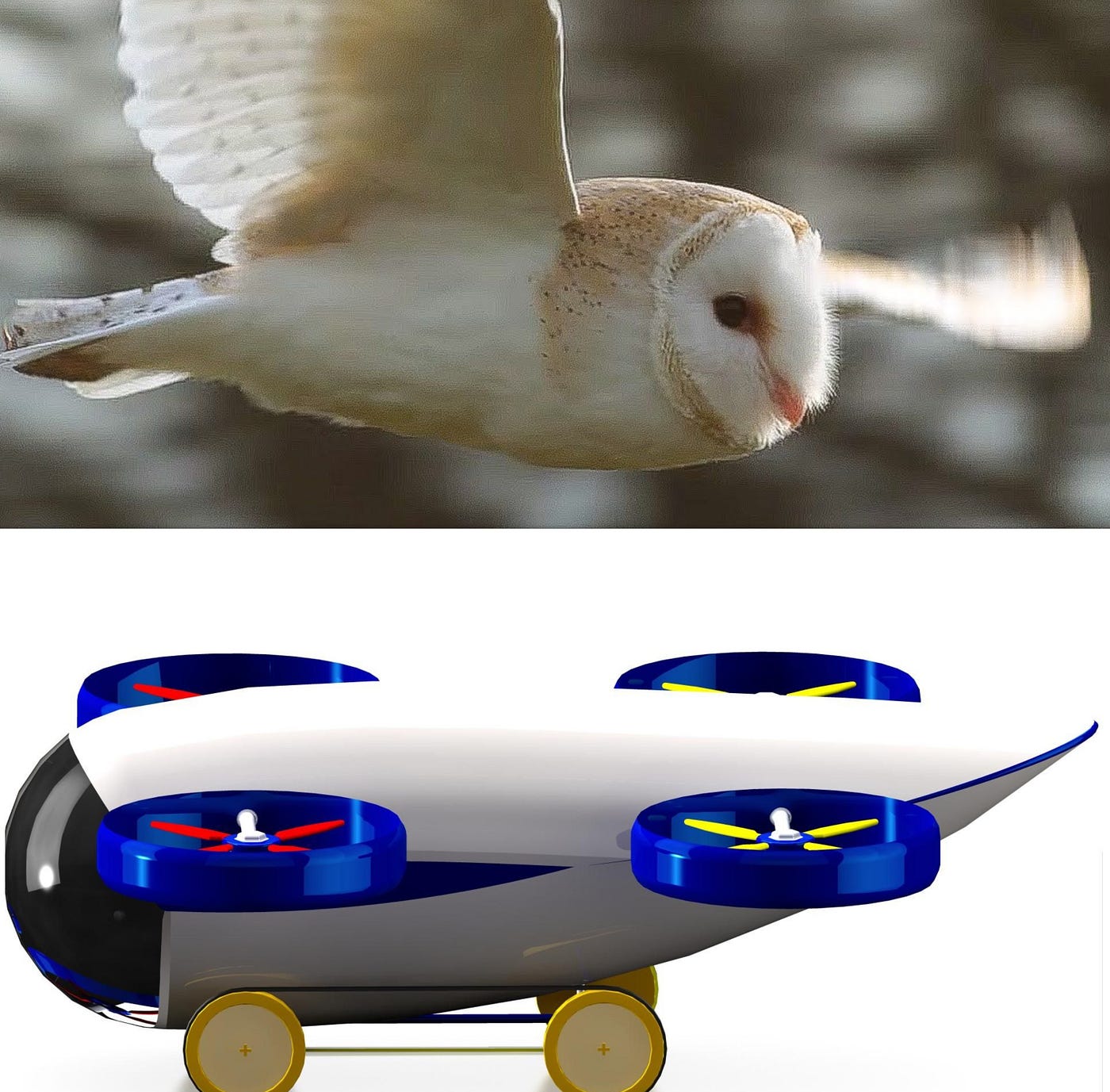 How an owl inspired me to design a drone? | by Deepak Harish | Medium