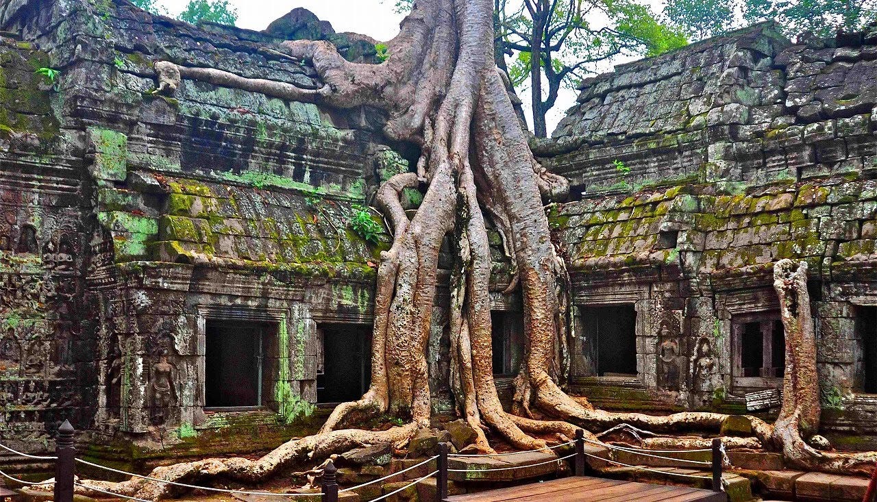 Picture of Ta Prohm