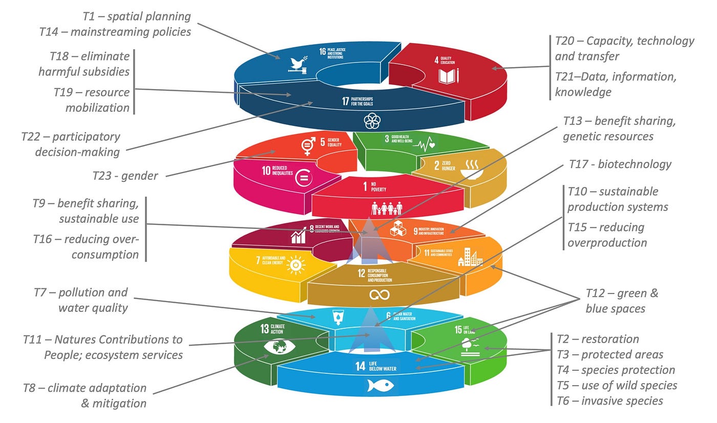 Youth and Systems: Understanding and Shaping the Future of Biodiversity in ASEAN