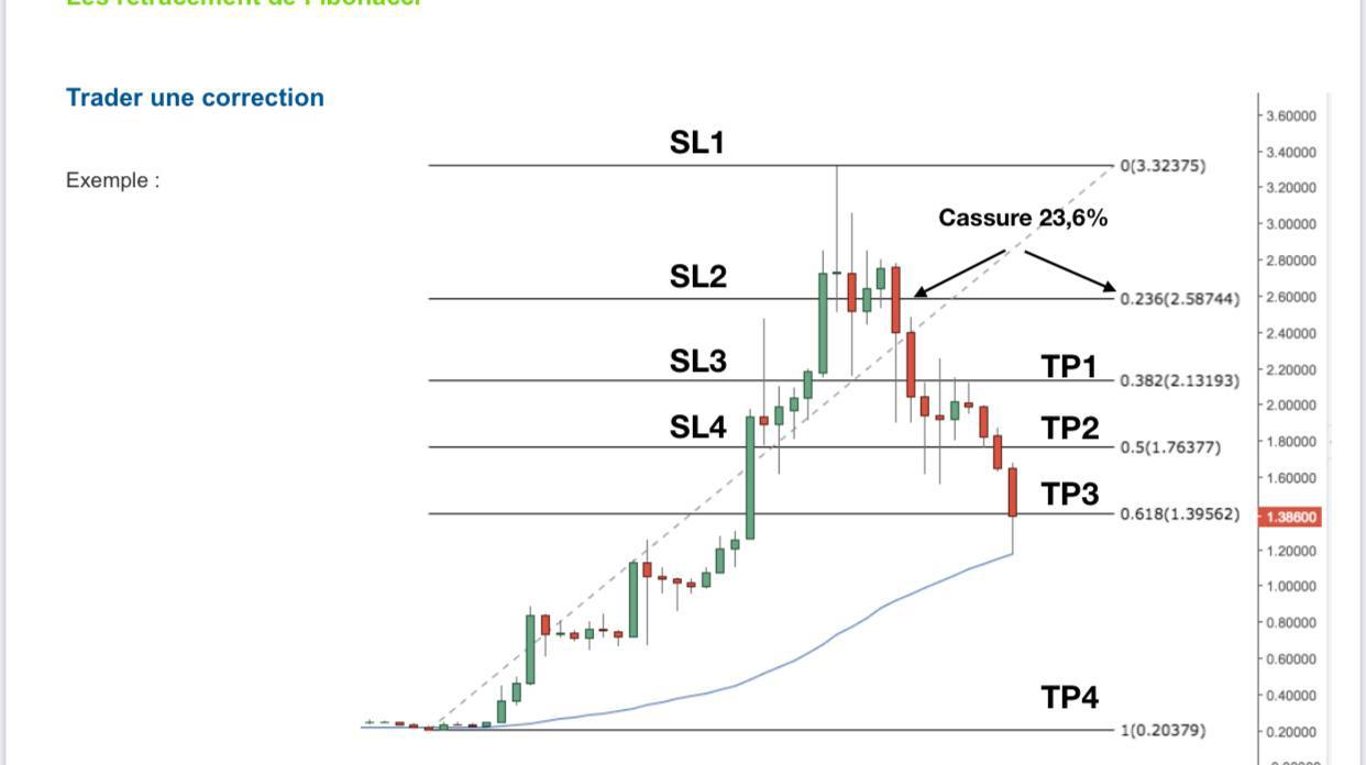 Comment déterminer les Take Profit et les Stop Loss efficacement grâce aux  fibos ? | by Crypto_Moon | Medium