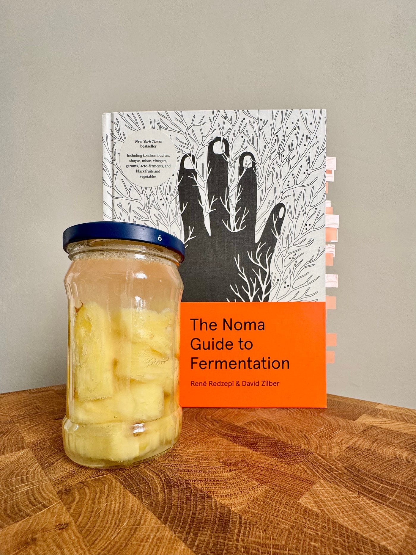 About the Noma Guide to Fermentation | by Alex Bîtca | Jan, 2026