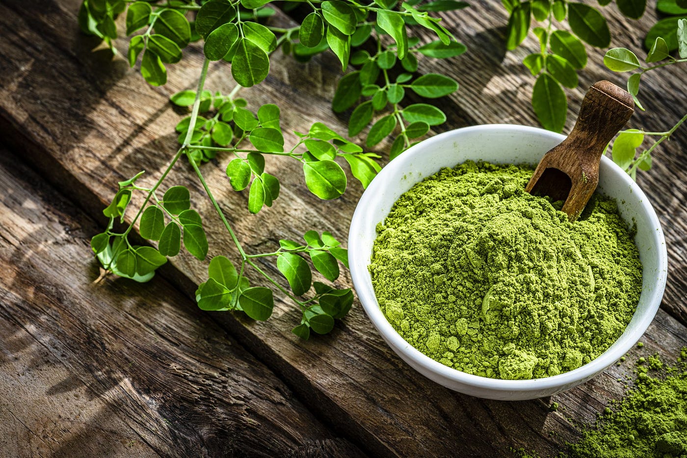 How To Use Moringa To Purify a Gallon of Water | by Amy Yohe | Medium