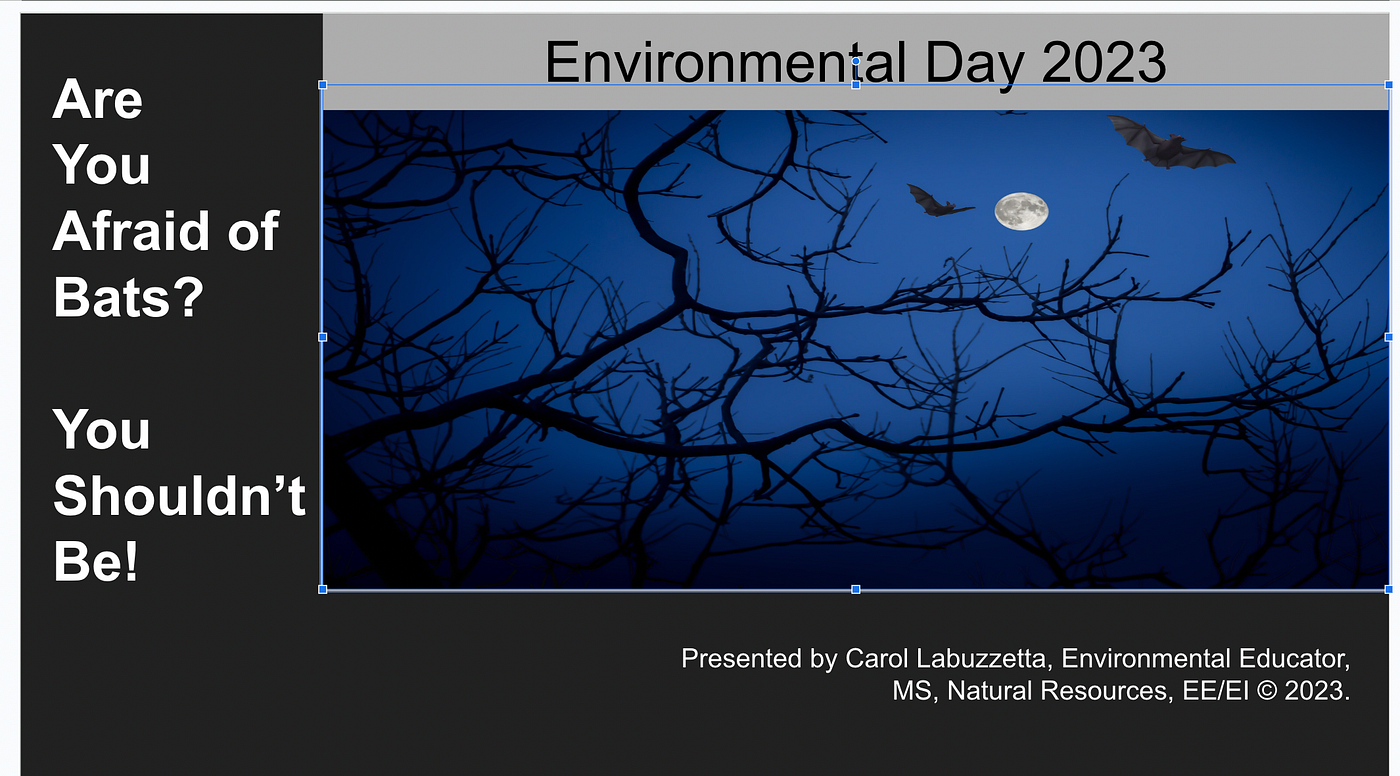 Screen shot of presentation title slide by author, Carol Labuzzetta.