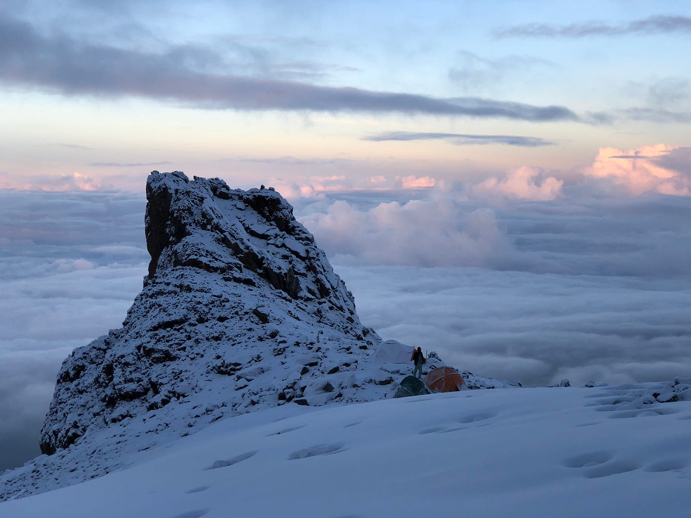 Summiting Mt. Kilimanjaro with Art Basel David Caruso that CSI