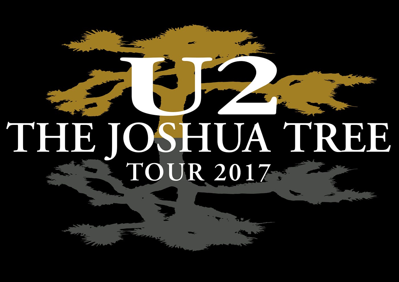 Southern Hemisphere Fans React to U2's The Joshua Tree Tour 2017 | by  Fernanda Bottini | Medium