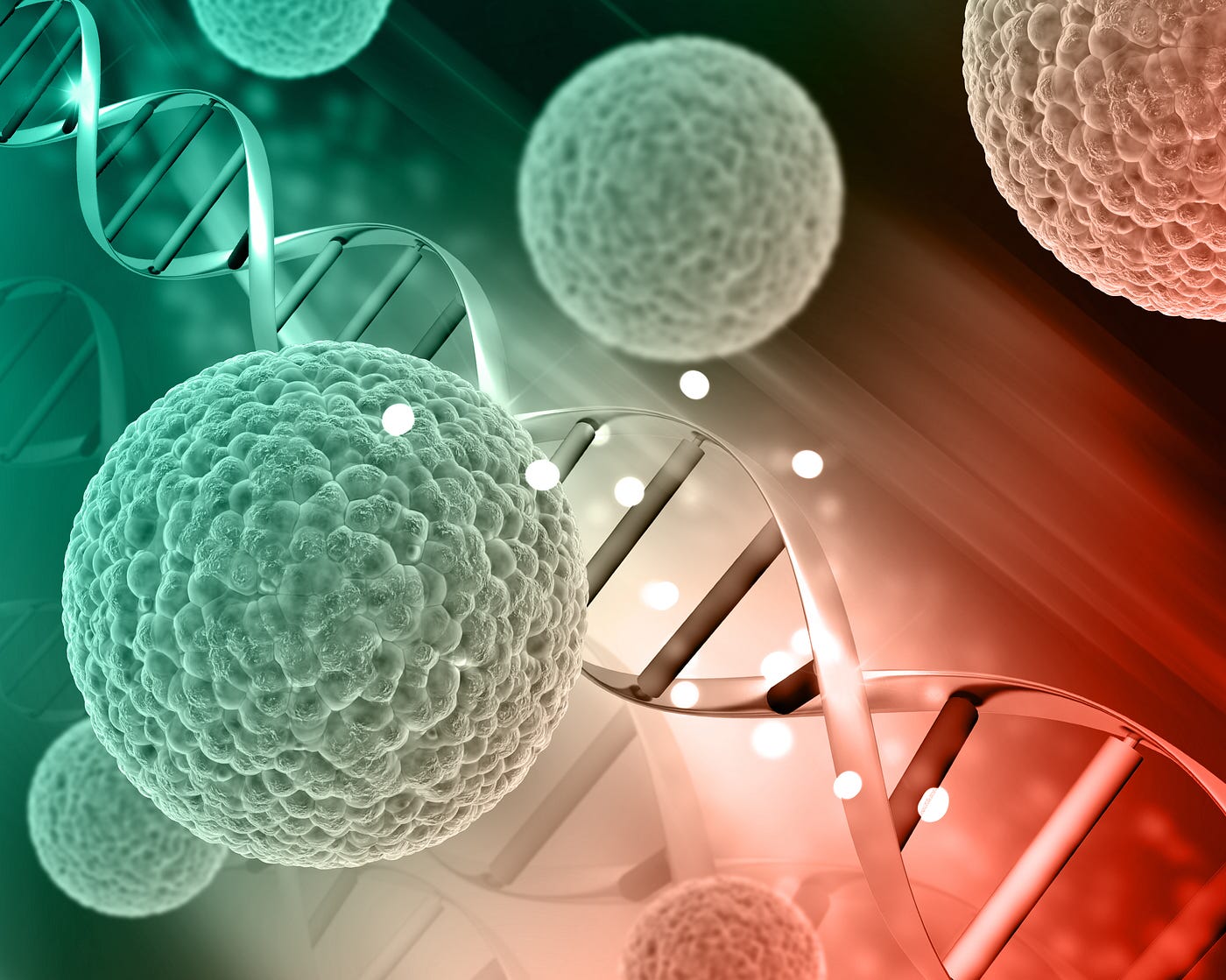 An Overview of Various Types of Cell-Based Assays