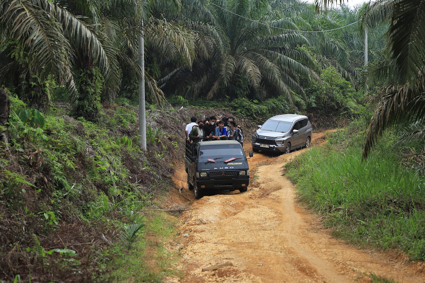 Menjaga Akar di Tengah Sawit; Pelajaran Tak Terduga dari Jantung Talang Mamak