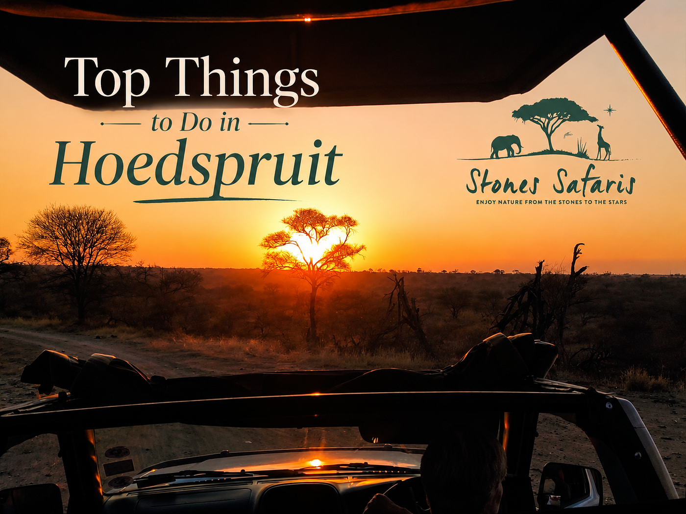 Hoedspruit Travel Guide: How to Plan a Safari Stay With More Than Game Drives