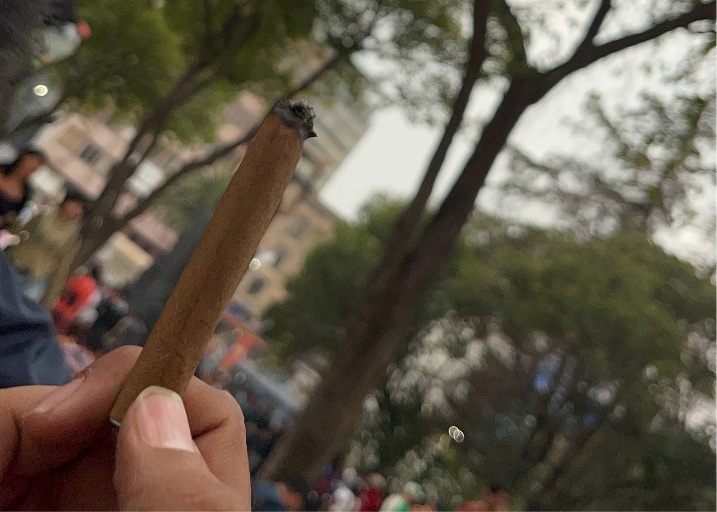 Aventura Surrealista: Crónica de un 4/20