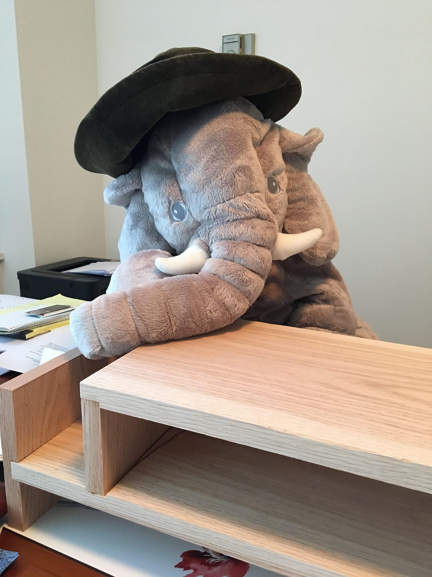 Elephant in the 2024 room stuffed animal