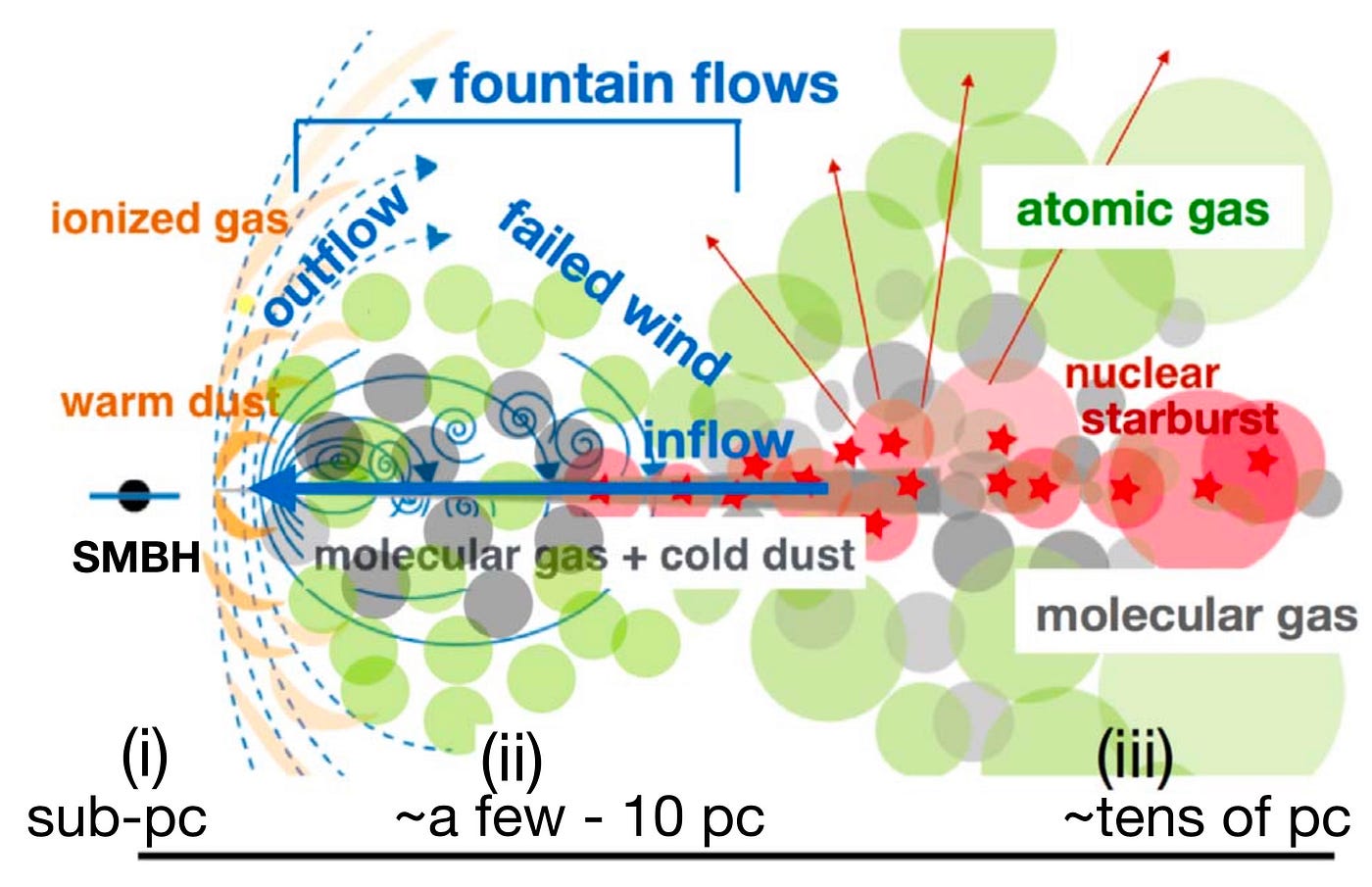 Al di là del raggio di sublimazione delle polveri, masse di gas atomico e molecolare generano profonde turbolenze, che influiscono sul tempo di aggregazione delle polveri. Il gas atomico, più caldo, è diffuso soprattutto all’esterno del disco di polveri, mentre il gas molecolare, più freddo, circola nelle regioni più interne [Takuma Izumi et al 2018 ApJ 867 48]