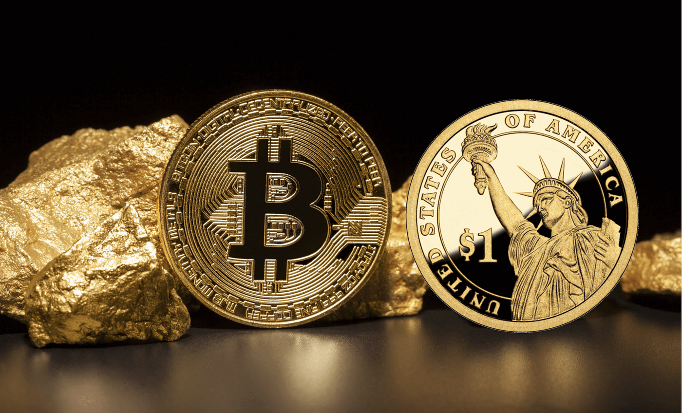 Best Crypto Trading Platforms: The Definitive Guide [2020] | by Gemma.B |  Good Audience