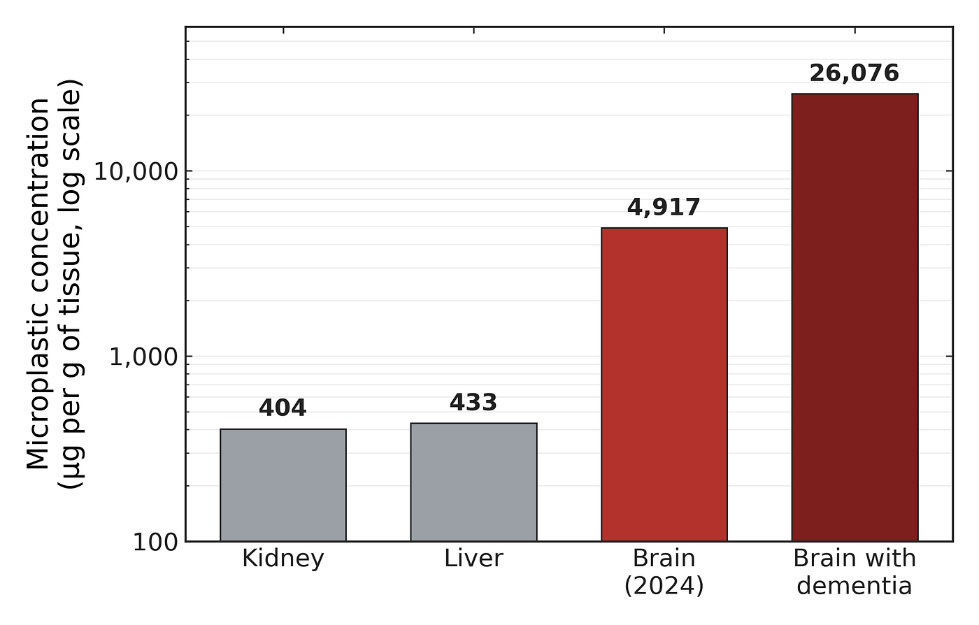Median microplastic concentration by human tissue in 2024 samples, with brain tissue from dementia cases shown for contrast. The dementia value is a correlation drawn from a small subset and should be read as a flag, not a verdict. Data: Nature Medicine, 2025. Figure by the author.