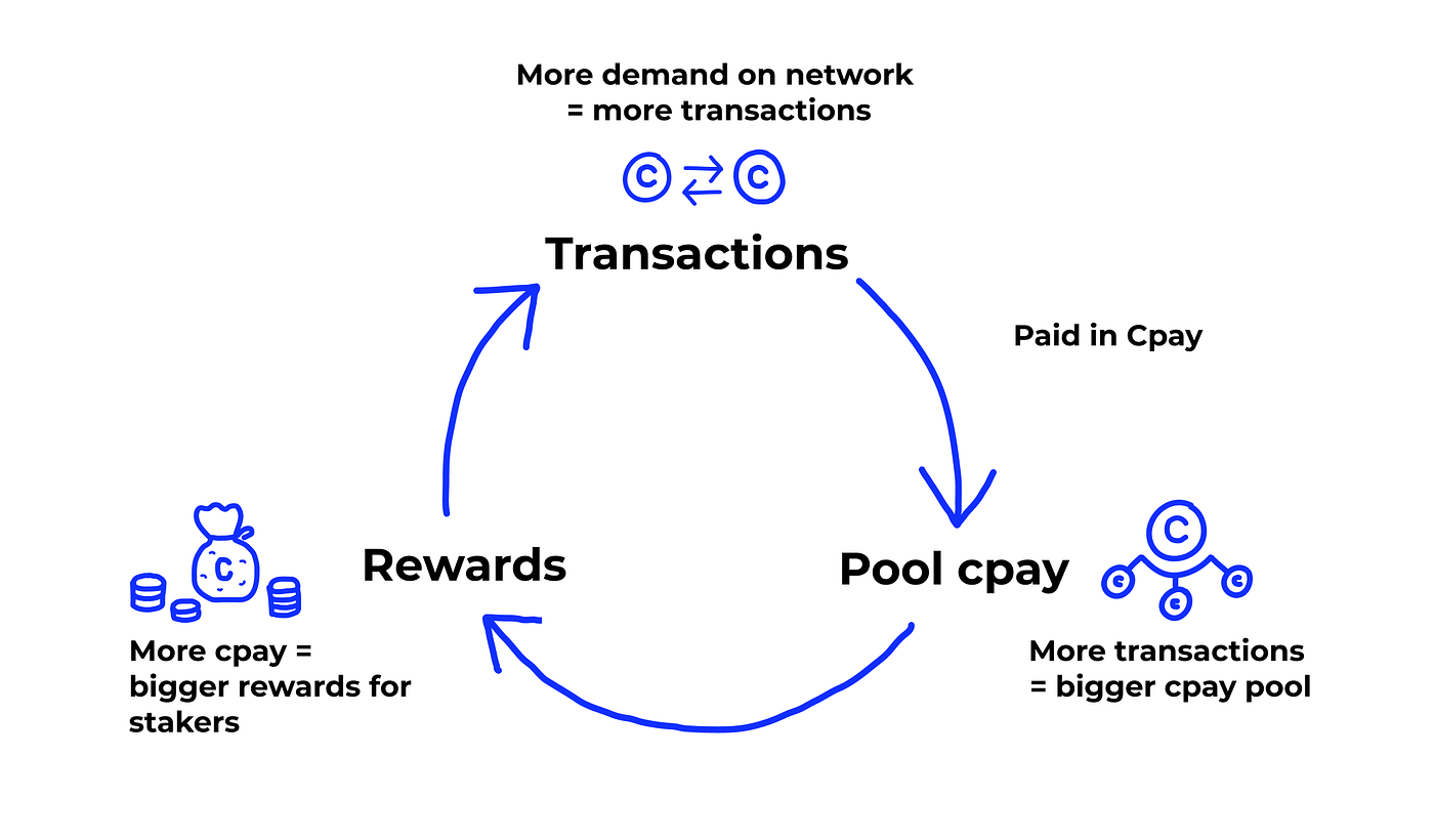 The dual token economy: explaining CENNZ and CPAY | by Cathy Breed |  CENNZnet | Medium