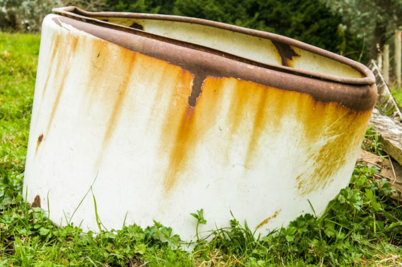 Septic Tank Removal Cost in Washington: What Homeowners Need to Know