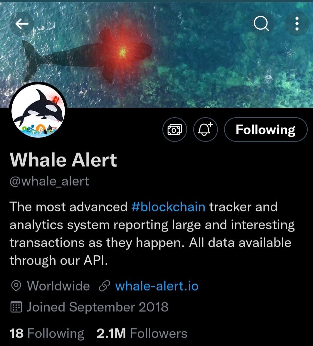 Whale Alerts. There are various methods of analysing… | by Opeyemi | Medium