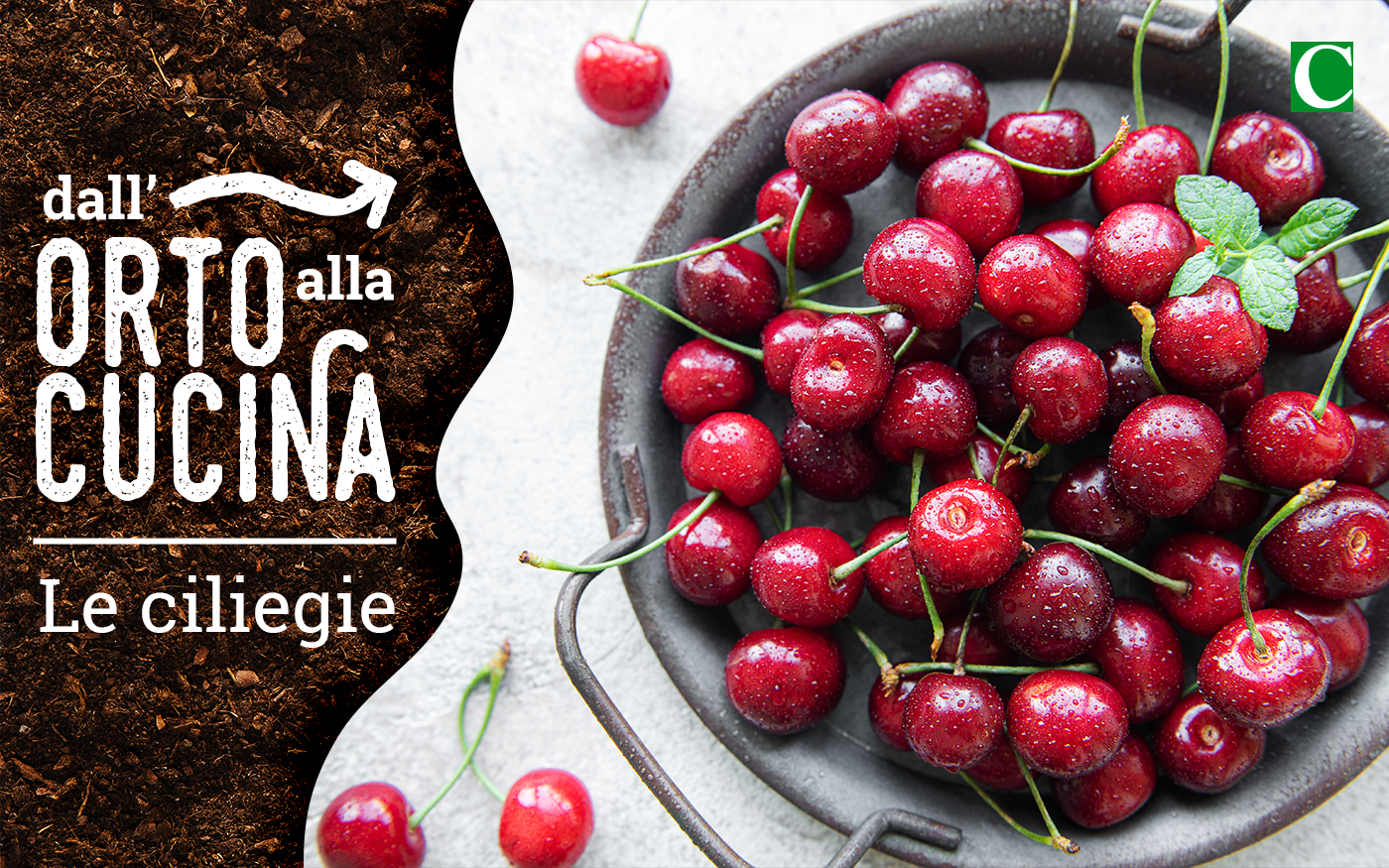Dall’orto alla cucina — Le Ciliegie