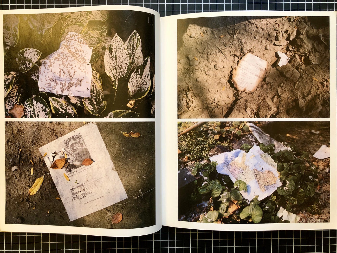 Joel Sternfeld 拍攝他附近公園裡從恐襲當日世貿中心飄散下來的文件雜物