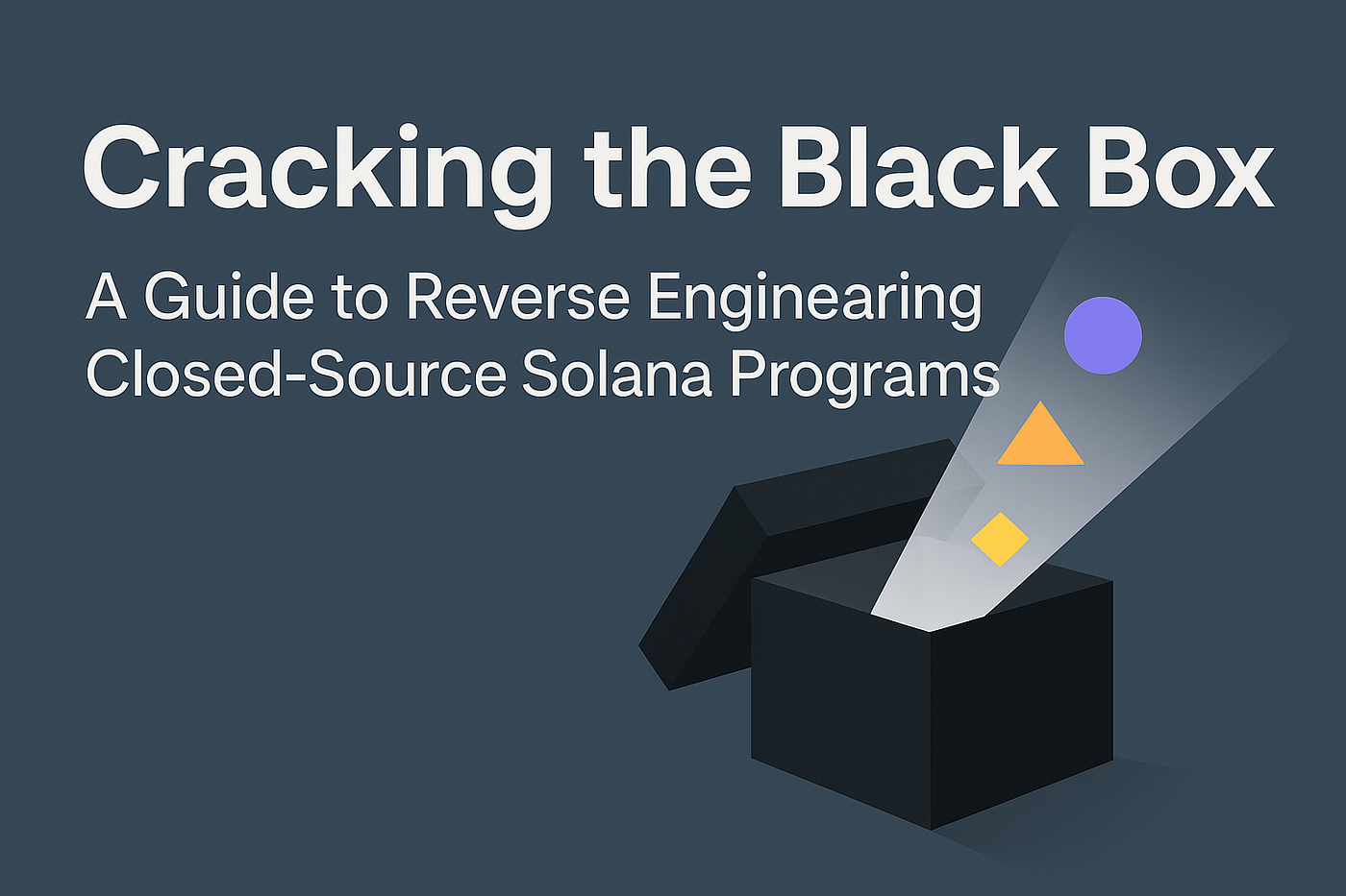 Cracking the Black Box: A Guide to Reverse Engineering Closed-Source Solana  Programs | by Rihsabmohd | Medium