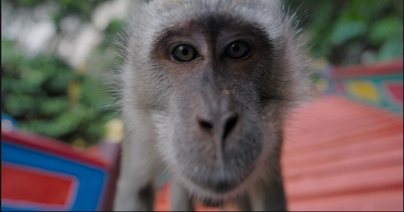 Batu Caves | 21st Feb 2024. Dear Audiences, | by Ming / babyPRO | Medium