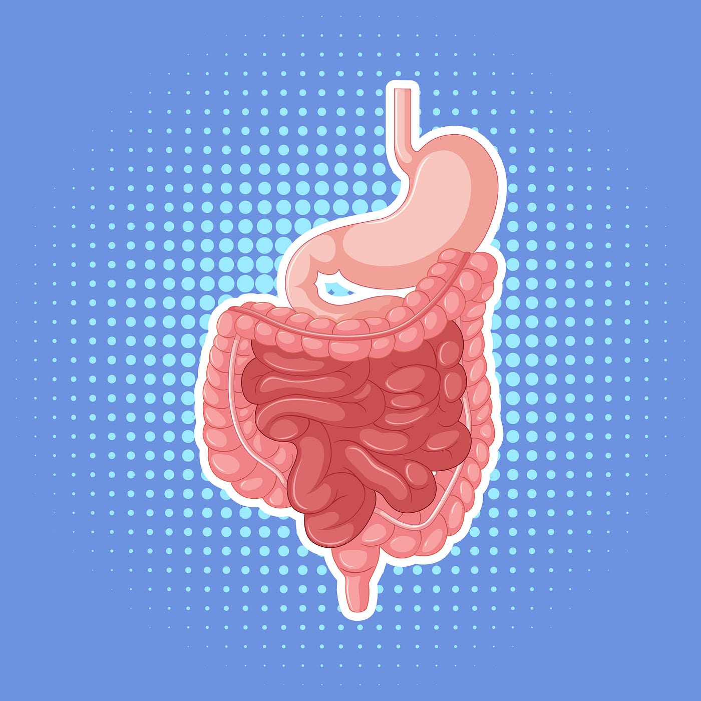 Why Alcohol Causes Stomach Problems Like Indigestion by Gillian May In Fitness And In Health Medium image