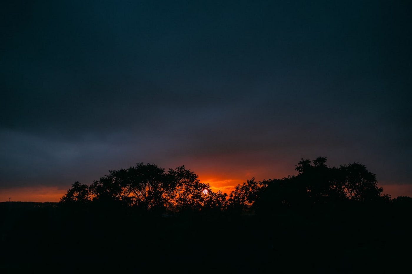 Photo by Jonas Denil on Unsplash