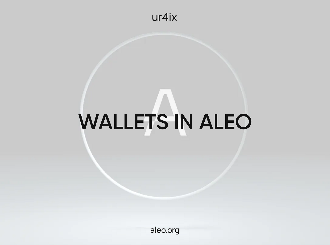Wallets in Aleo. Introduction | by ur4ix | Medium