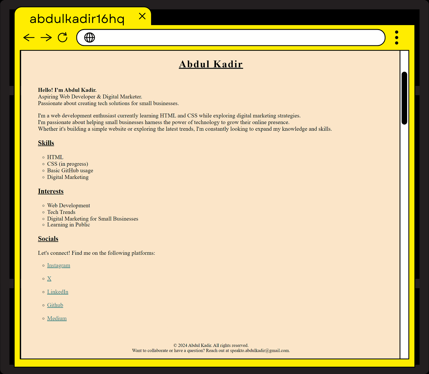 Creating My First Portfolio Website: A Beginner’s Journey in Web Development