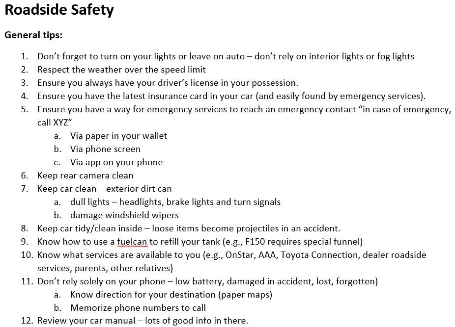 Roadside safety screenshot #2