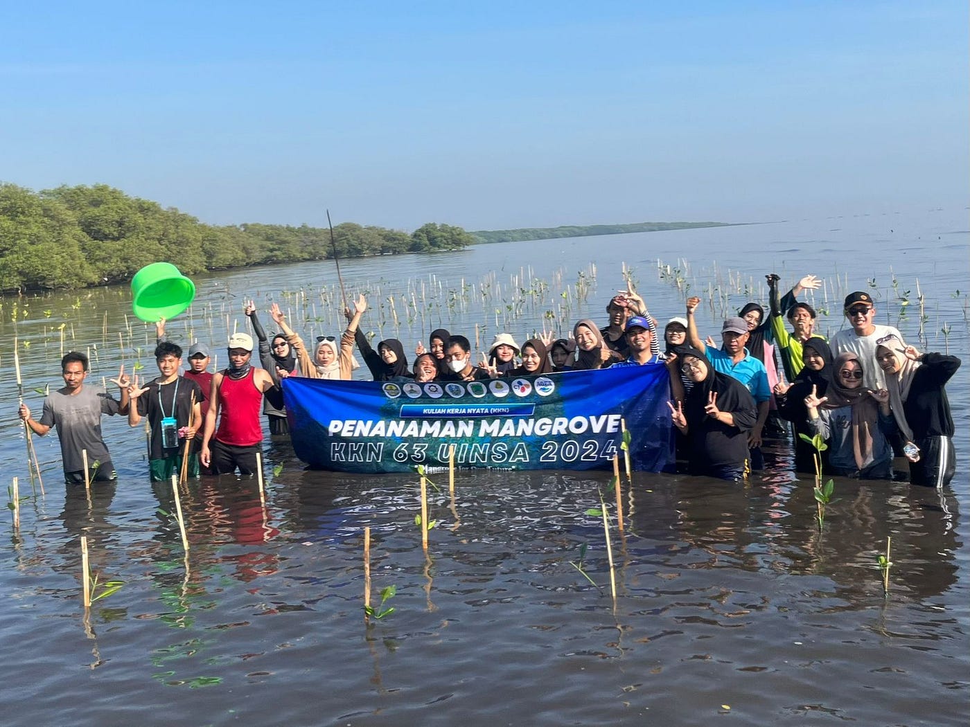 Ratusan Bibit Mangrove Sukses Tertancap, KKN 63 UINSA Hidupkan Kembali Lautan Jarangan