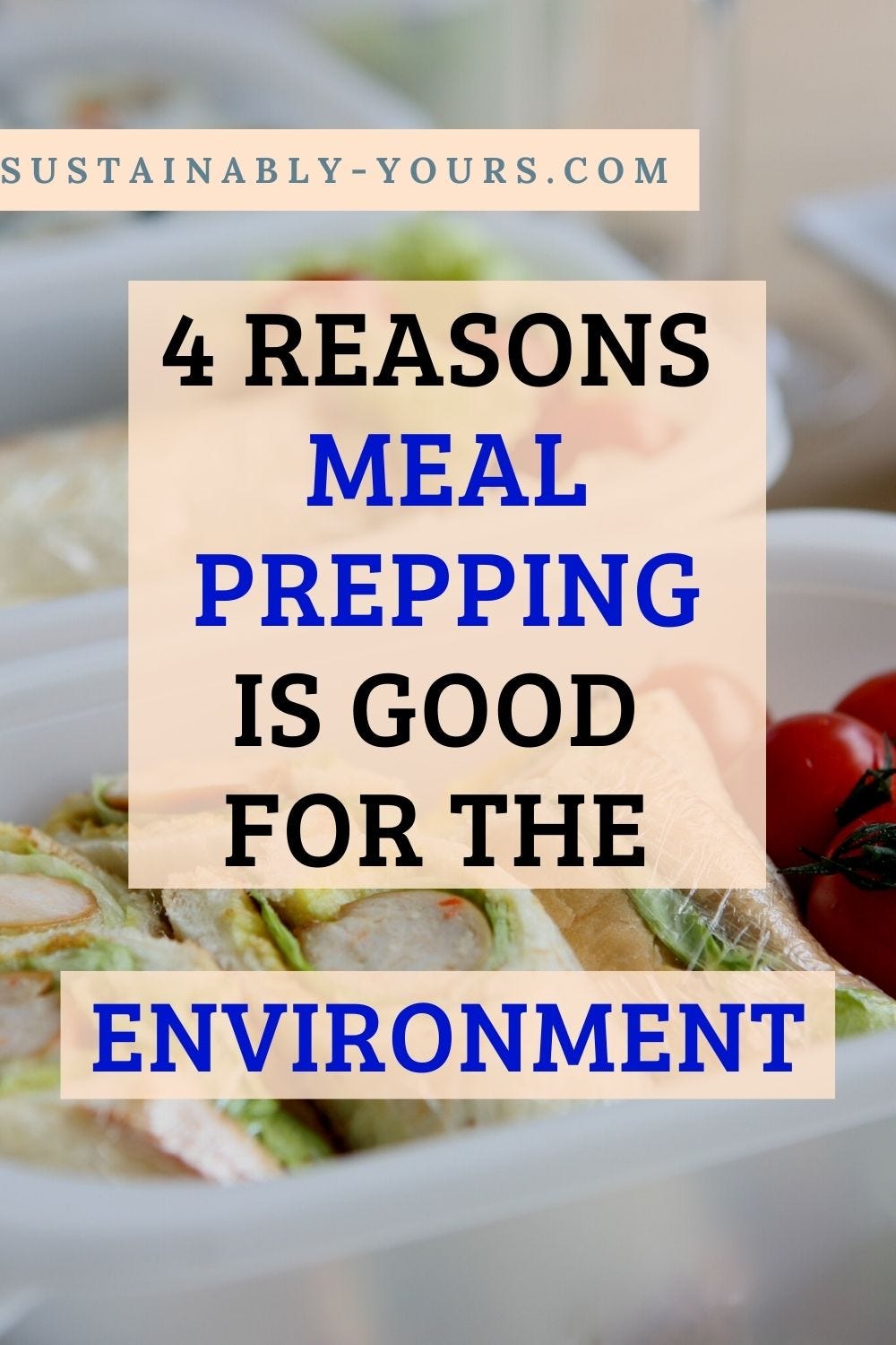 Good for you & the planet: An intro to meal prepping with reusable
