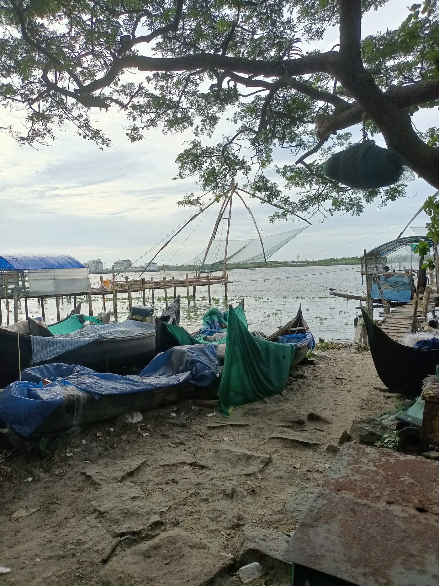 The Living History of Cochin's Chinese Fishing Nets | by Mike Savage | Medium The Living History of Cochin's Chinese Fishing Nets | by Mike Savage | Medium