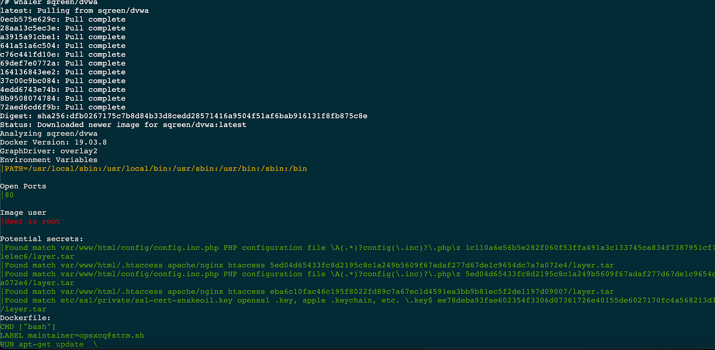 How to Use Waler to Inspect Your Docker Image?