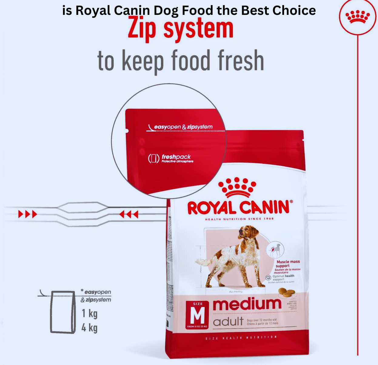 is Royal Canin Dog Food the Best Choice? A Complete Review | by Alie |  Medium